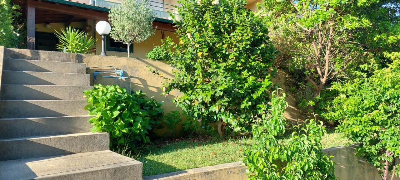 Dream House By Douro Valley Rio Mau  Екстер'єр фото